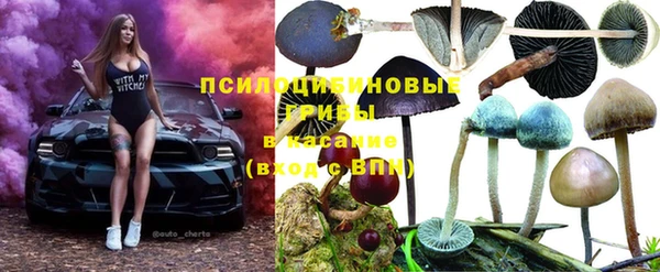соль курить ск Аркадак